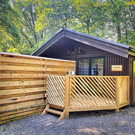 The Squirrel Lodge - Hot Tub - Pet Friendly - Pembrokeshire-Tenby 卡马森 外观 照片